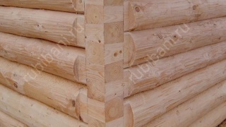 Дом 4×5 м в лапу, 20 м²